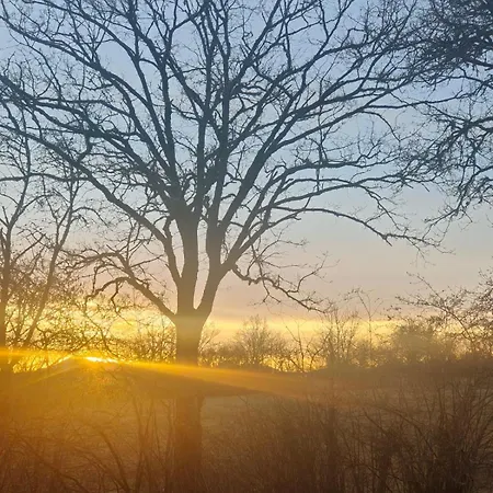 Moose Tiny House Les Chaumes