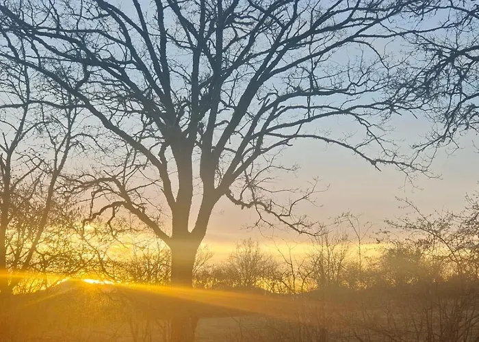 Moose Tiny House Les Chaumes